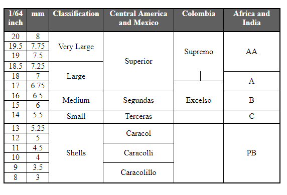 Coffee Bean Size Classification