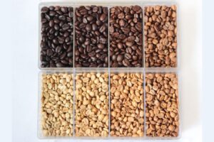 Color and Characteristics of Coffee by Roast Level