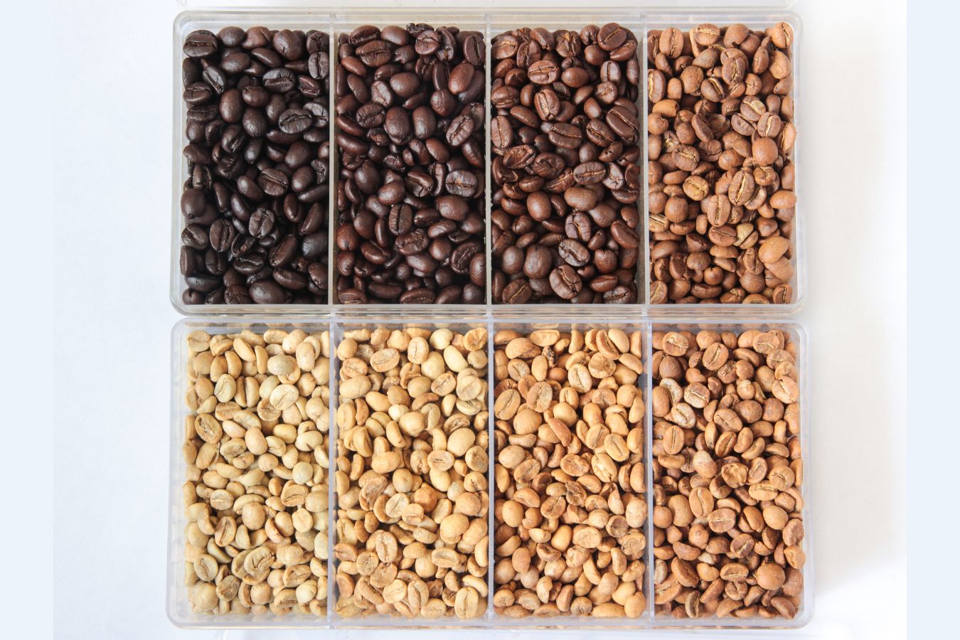 Color and Characteristics of Coffee by Roast Level