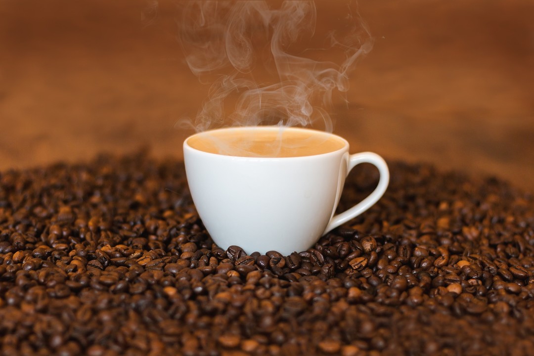 Why HACCP Certification Matters When Sourcing Vietnamese Coffee