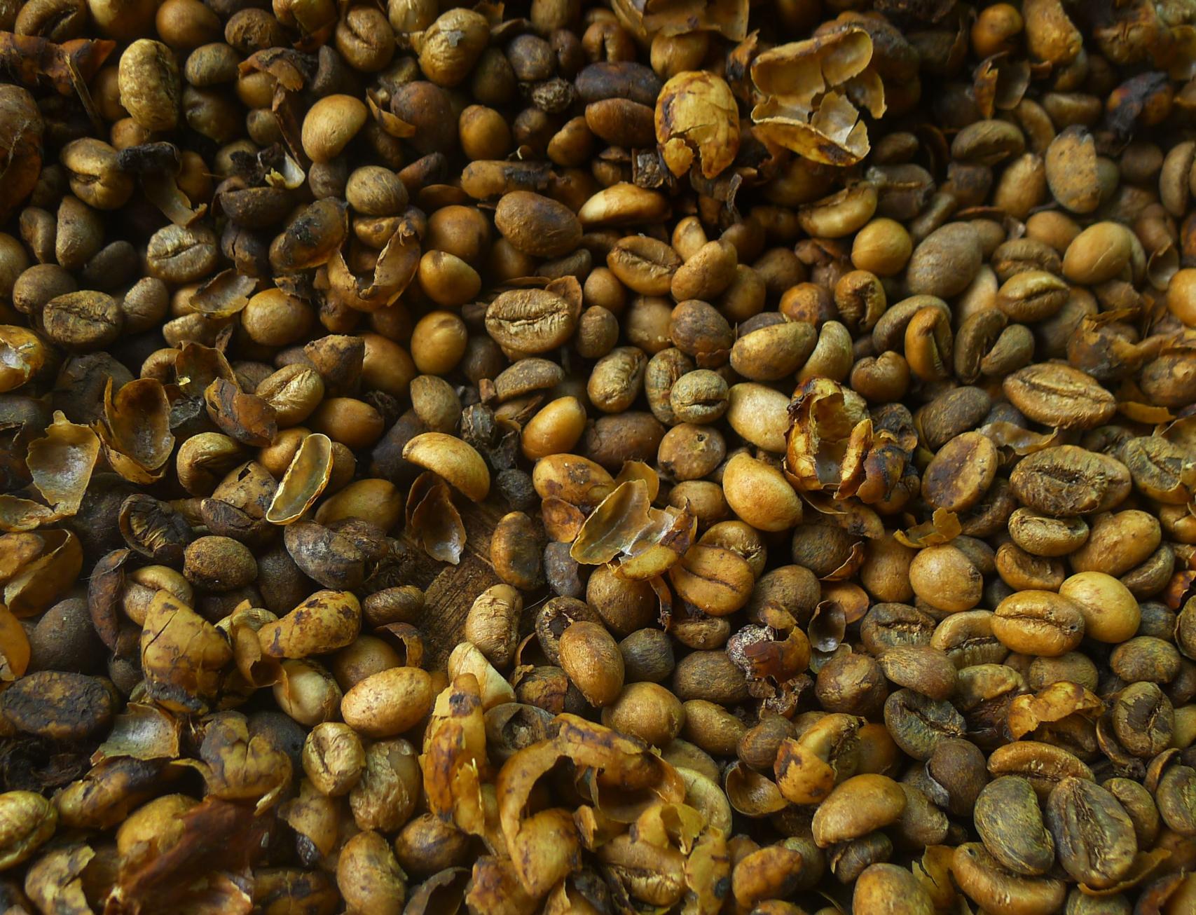 aged coffee