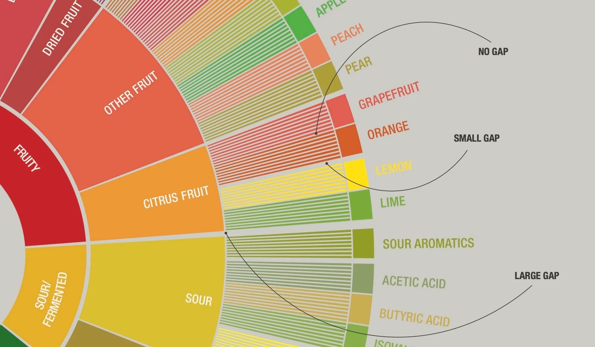 Coffee Taster's Flavor Wheel