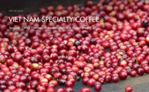 The flavor profile of Vietnamese specialty coffee
