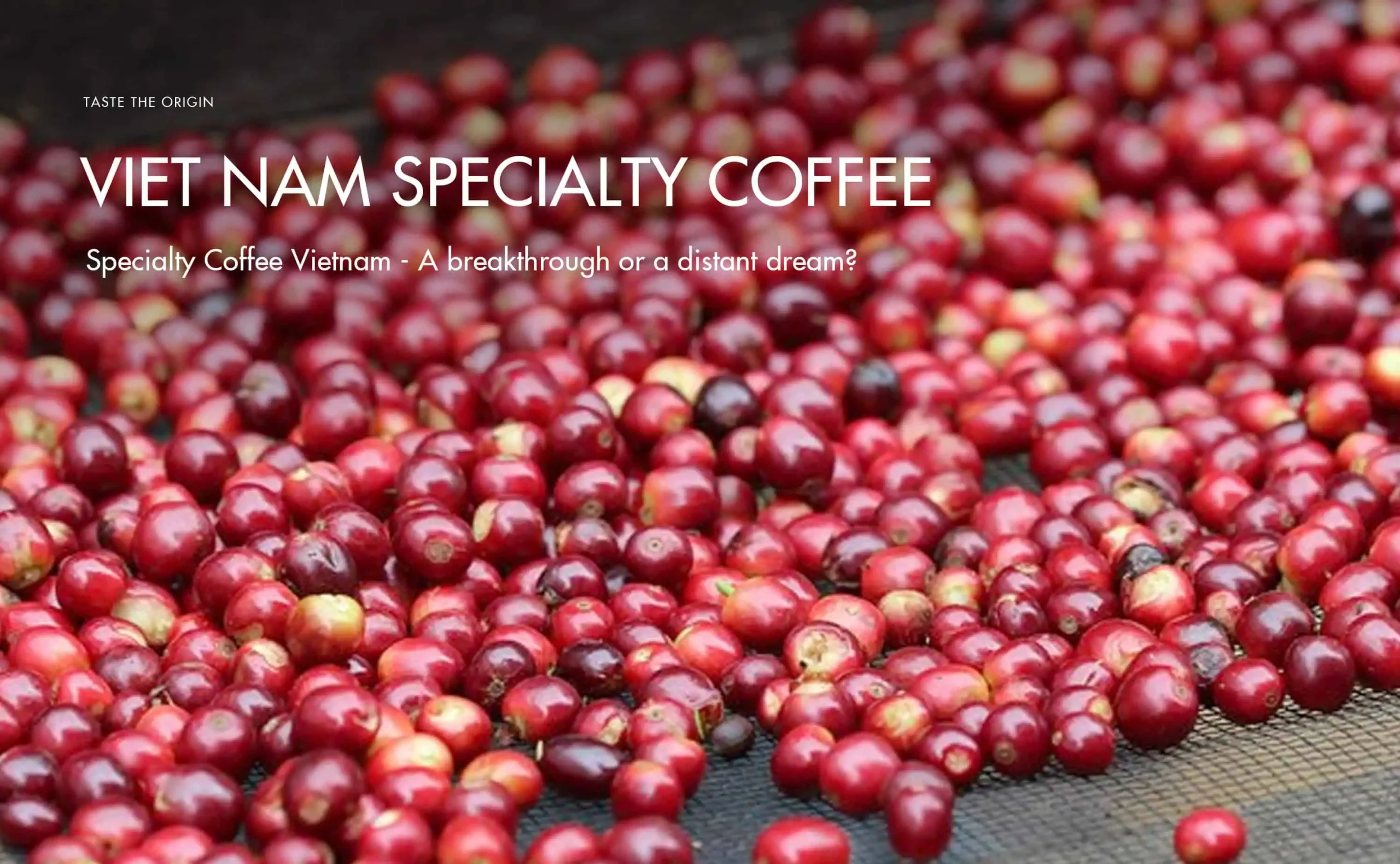 The flavor profile of Vietnamese specialty coffee