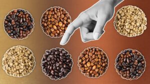 Which coffee blend fits your brand