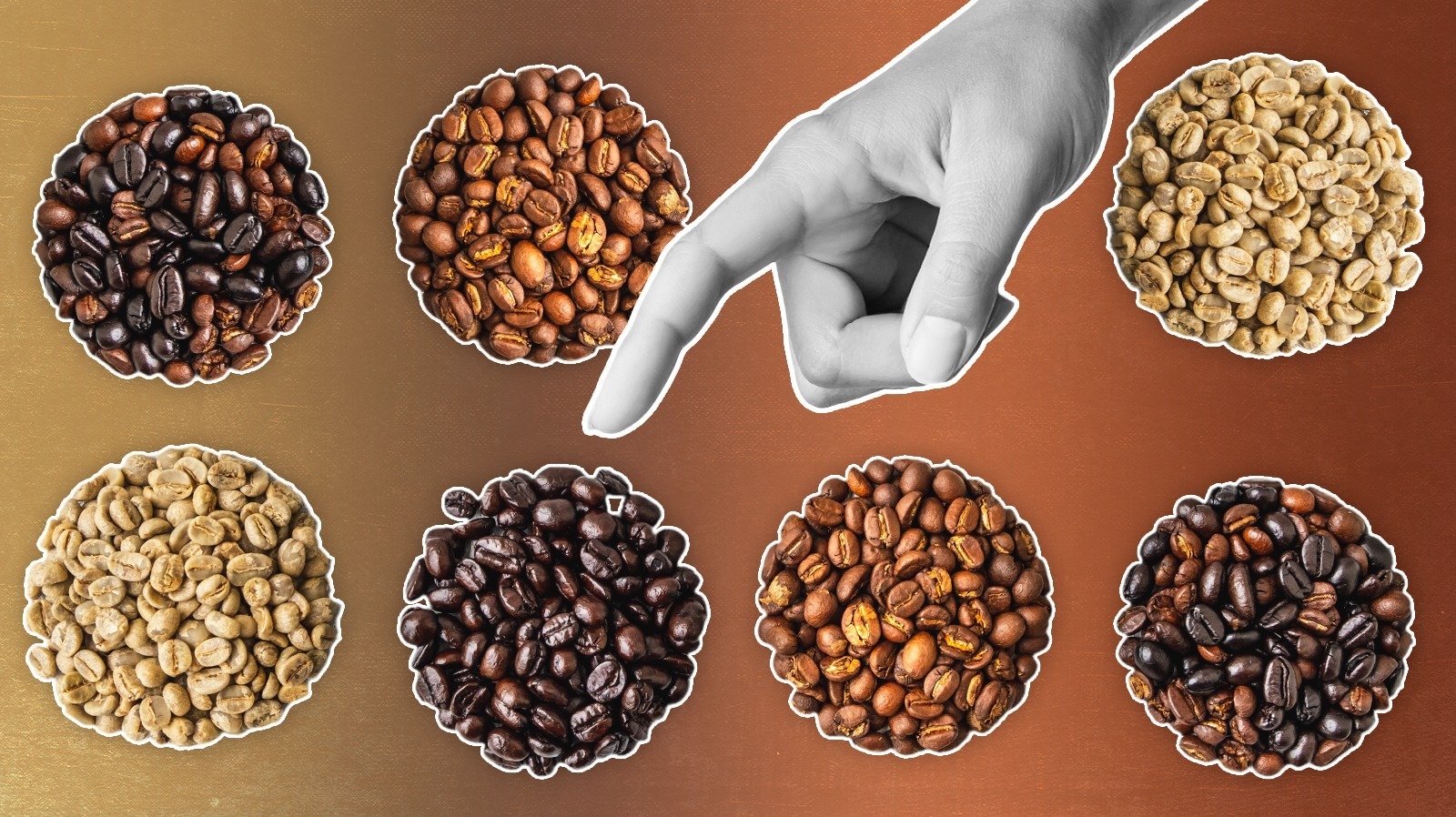 Which coffee blend fits your brand