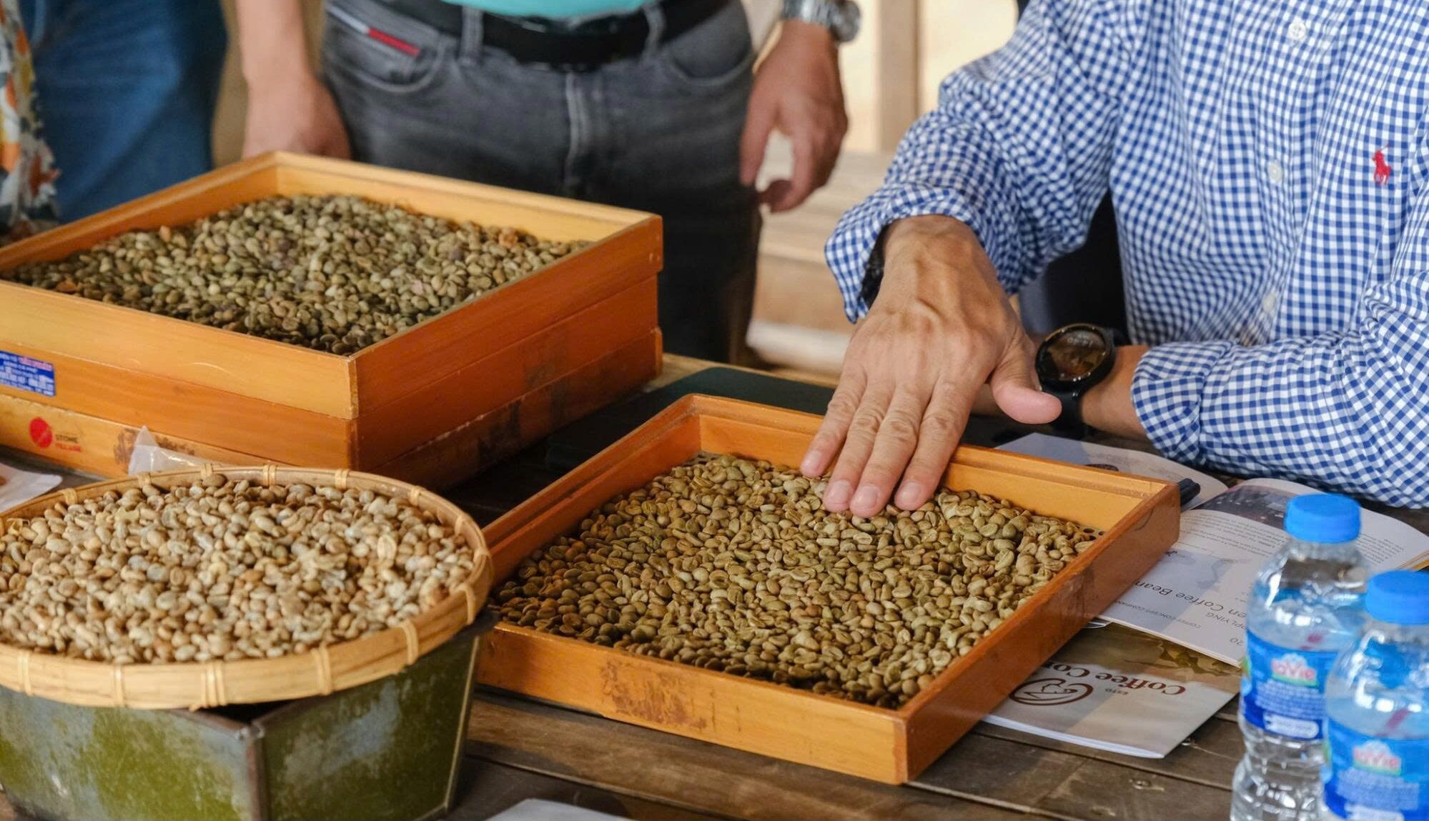 fine robusta